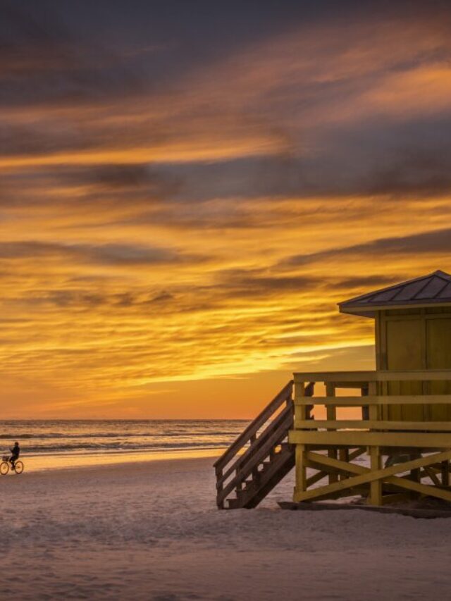 Be sure to catch the Gulf Coast sunset every night while you're in Siesta Key.