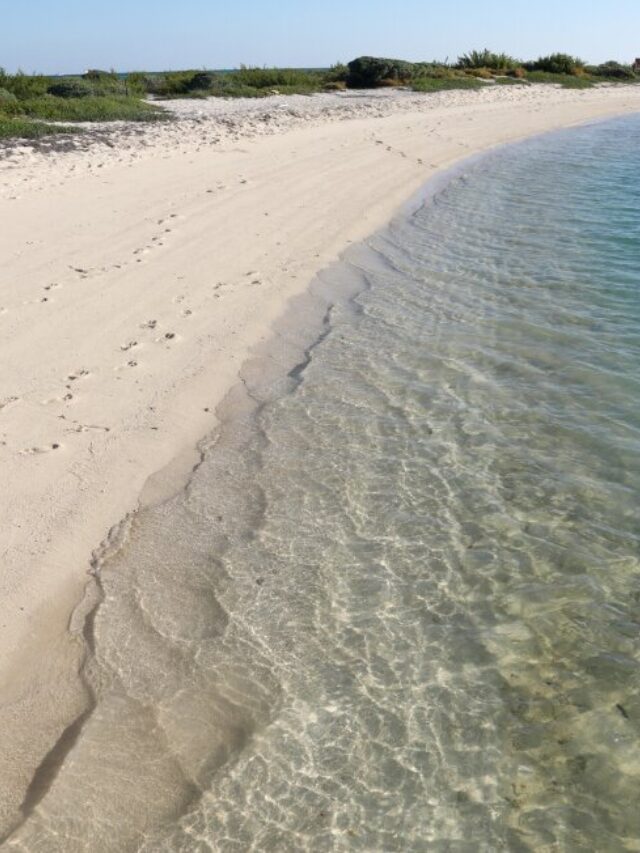 Dry Tortugas National Park